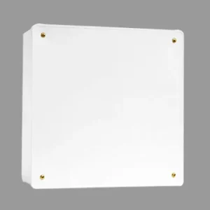 DS-12"12"3"膠箱(個)